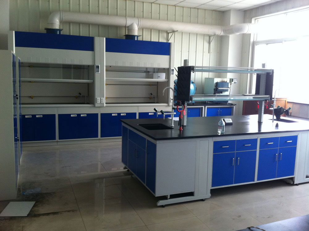 實(shí)驗(yàn)室通風(fēng)柜（標(biāo)準(zhǔn)型、補(bǔ)風(fēng)型、聯(lián)體型、桌上型、落地式、不銹鋼通風(fēng)柜）