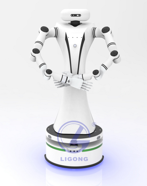 雙臂仿真機(jī)器人實(shí)訓(xùn)科研平臺(tái)